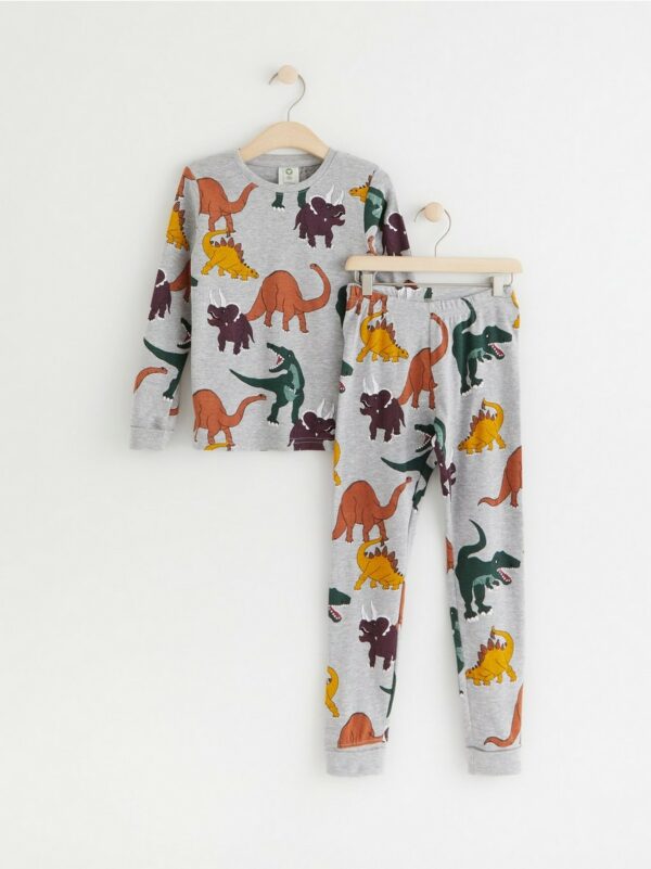 Pyjama set with dinosaurs - Grey, 110/116