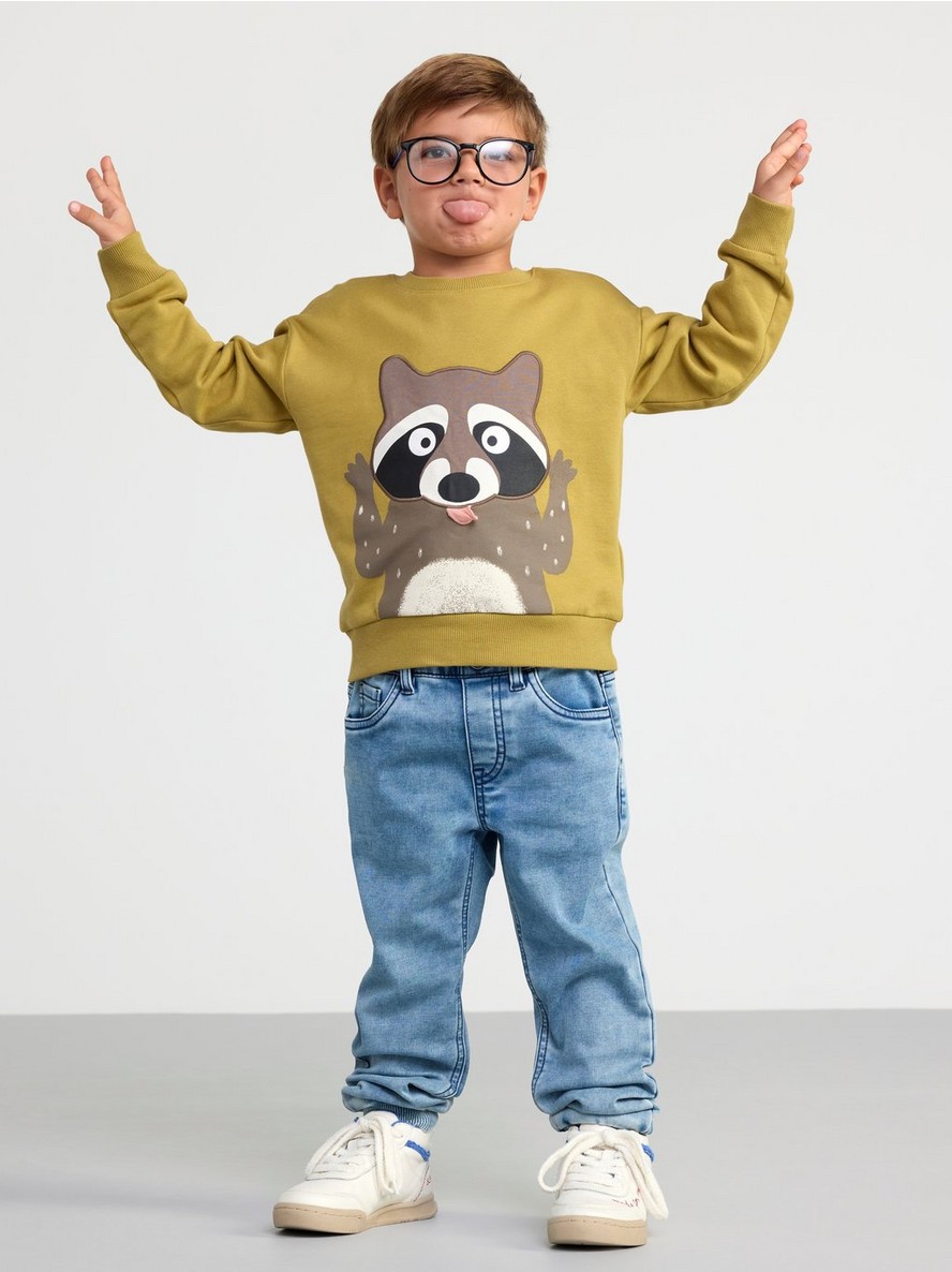 Sweatshirt with raccoon and brushed inside